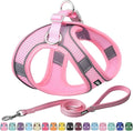 AIITLE No Pull Dog Harness and Leash Set, Step in Adjustable Dog Harness by AIITLE-FORPETSBETTERLIFE
