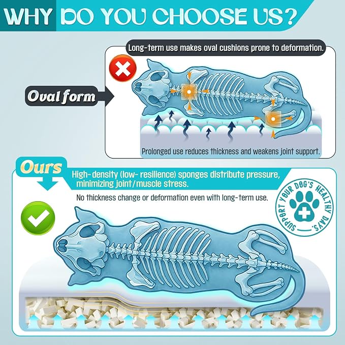 Waterproof Memory Foam Dog Beds - Image 3