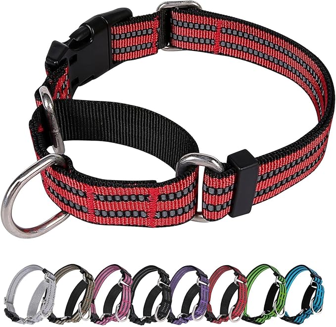 Martingale Dog Collar, Adjustable Nylon Reflective Collar by JOYEEIIOO