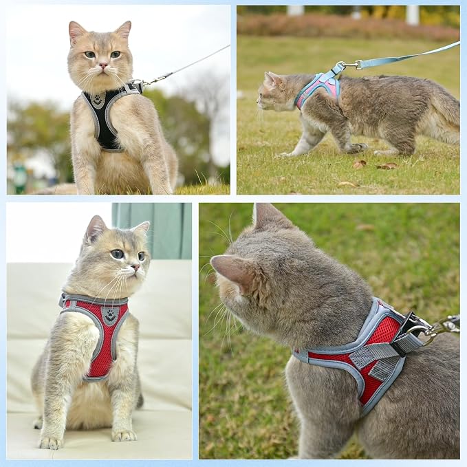 SCENEREAL Cat Harness and Leash Set Escape Proof, Adjustable Soft Air Mesh - Image 6