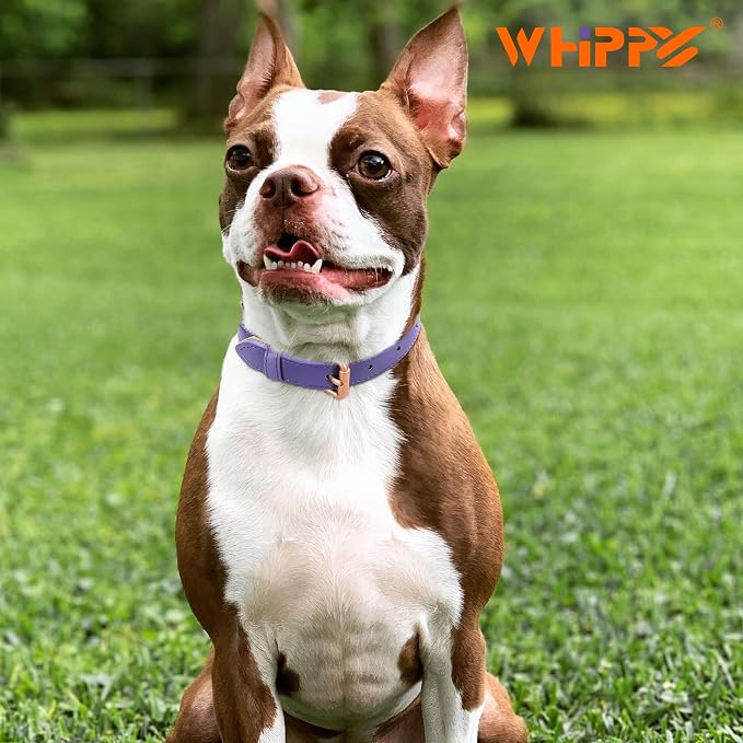 WHIPPY Leather Dog Collar for Small Medium Large Dog Adjustable Soft Breathable - Image 3