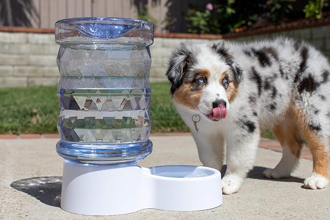 PetFusion H2O Gravity Pet Water Dispenser. Durable 2.5 Gallon Waterer Feeder. - Image 2
