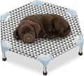 Elevated Outdoor Dog Bed by KuntrustDirect