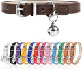 S Dog Collar for Small Dogs Adjustable Dog Collars Cat Collar for Small Medium by Engorgio