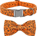 Halloween Dog Collar, Pet Collar Dog Bow Pumpkin Dogs Collar Girl Boy Holiday by BoboRainbow