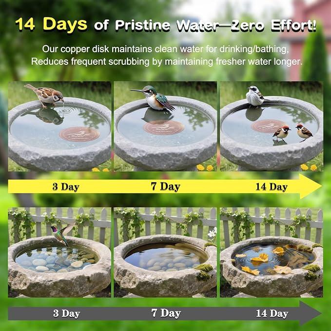 Bird Bath Copper Disk 2PCS-99.99% Pure Copper Purification Disk 1 mm Thick - Image 6