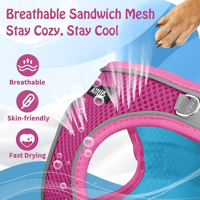 AIITLE Step in Dog Harness and Leash Set - Image 8