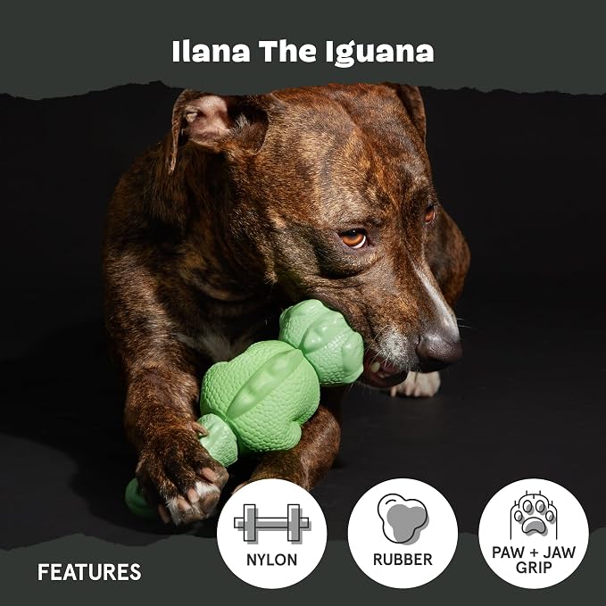 Barkbox Super Chewer Tough Dog Chew Toys - Image 4