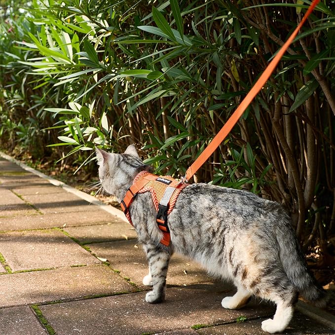 Cat Harness and Leash Escape Proof Small Kitten Harness Abyssinian Cat Vest - Image 3