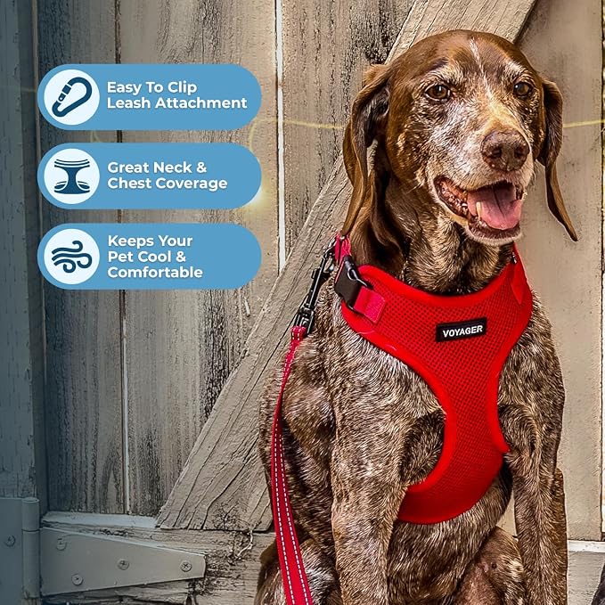 Voyager Step-in Pet Harness - Image 3