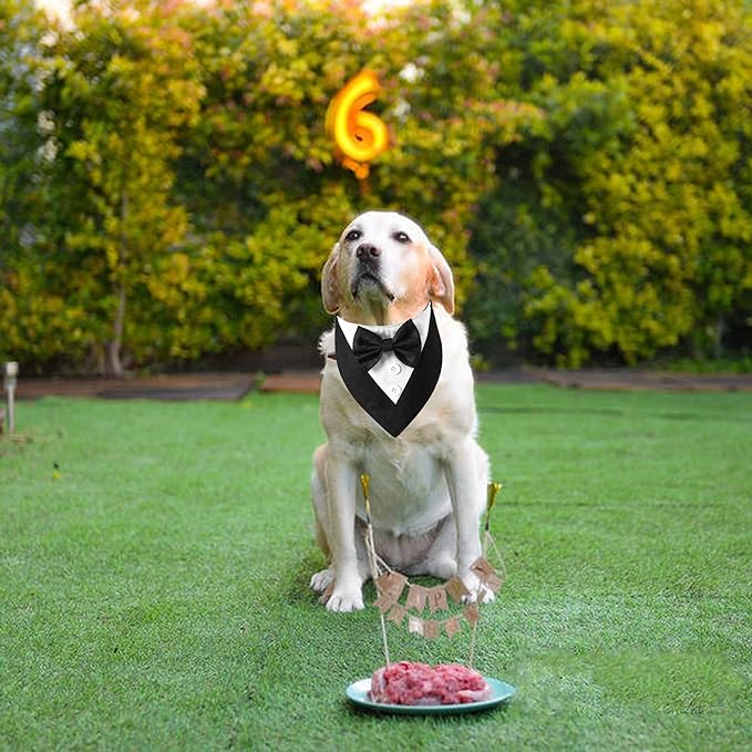 ADOGGYGO Formal Dog Tuxedo, Wedding Dog Bandana Collar - Image 2