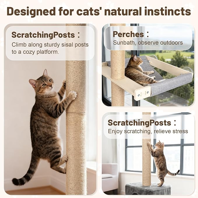 XiaZ Cat Window Perch with Tall Scratching Post, Sleeping & Watching Birds - Image 7