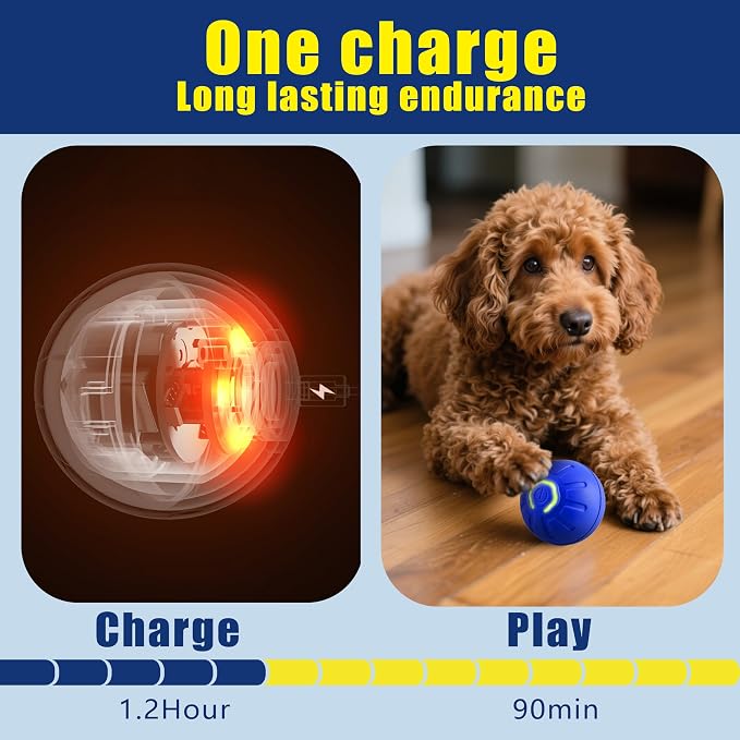 BIONEMAGILI Interactive Self-Moving Pet Toy Ball - Image 4
