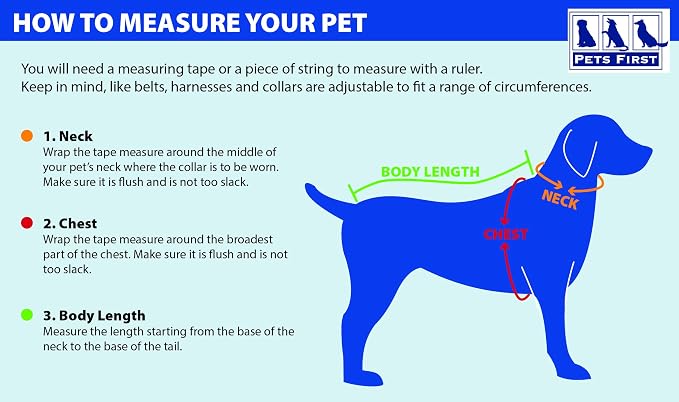 Pets First NFL Green Bay Packers T-Shirt Dogs & Cats, Medium. Football Dog - Image 2