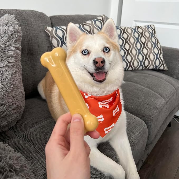 Nylabone Customer Favorites Power Chew Toy Bundle - Image 9