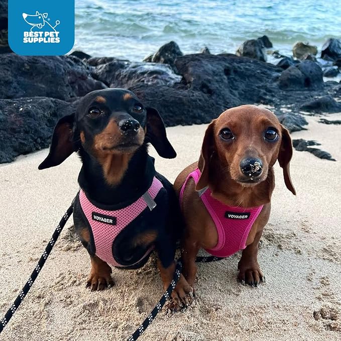 Best Pet Supplies Voyager Step-in Air Harness - Image 10