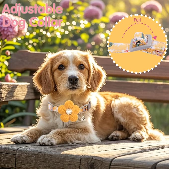 Small Dog Collar with Flower, Puppy Collar - Image 5