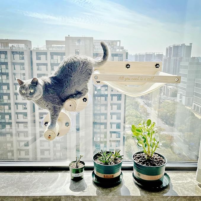 Cat Window Perch with 2 Stairs, Natural Wood, 5 Strong Suction Cups - Image 2