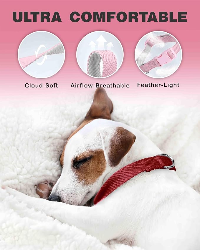 Dynmeow Soft and Breathable Cotton Dog Collar, Durable Adjustable Heavy-Duty - Image 3