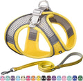 AIITLE Small Harness for Puppy by AIITLE-FORPETSBETTERLIFE