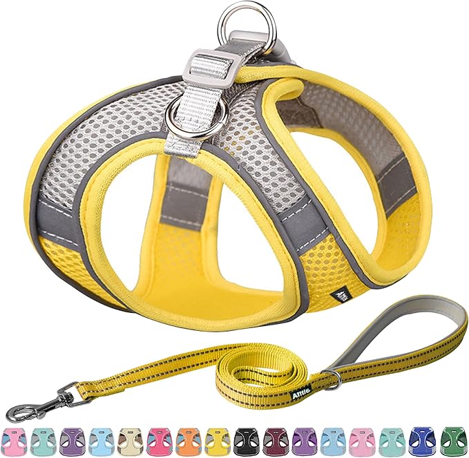 AIITLE Escape Proof Dog Harness by AIITLE-FORPETSBETTERLIFE