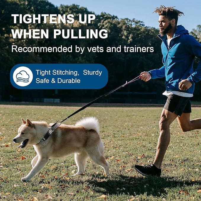 Martingale Dog Collar, Adjustable Nylon Reflective Collar - Image 7