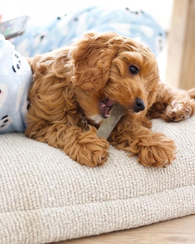 Nylabone Original Bone Flexi Chew Toy - Image 2