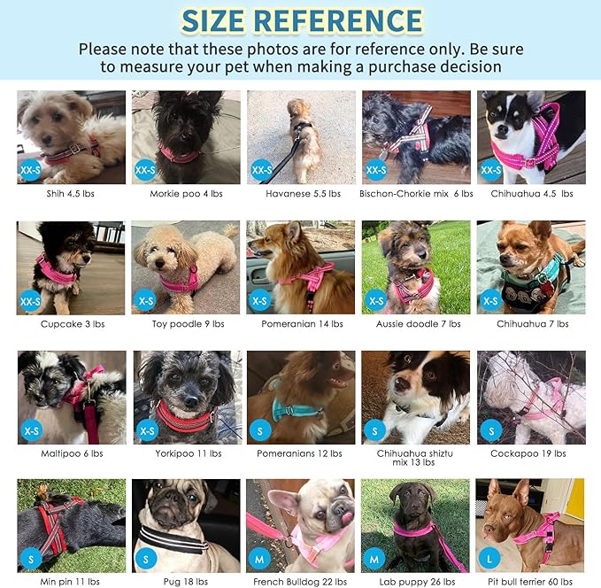 SlowTon No Pull Small Dog Harness and Leash Set, Puppy Soft Vest Harness Neck & - Image 5