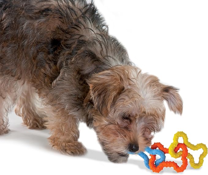 Petstages Mini Bone Tug Puppy Chew Toy - Image 6