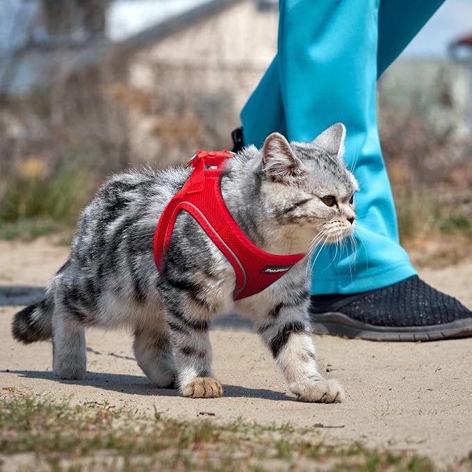 PetiFine Extra Small Step in Dog Harness and Leash Set, Cat Harness and Leash - Image 7
