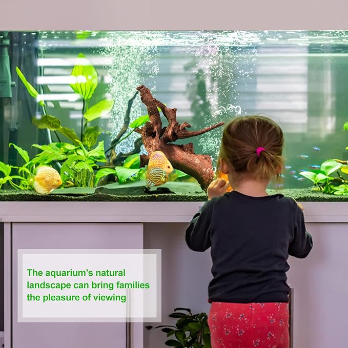 majoywoo Natural Large Coral Driftwood - Image 7