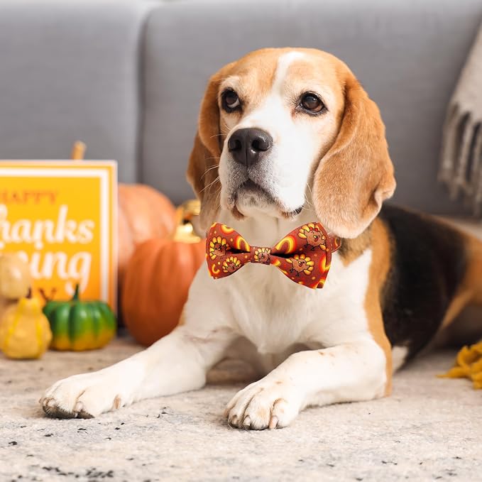 Thanksgiving Dog Collar with Bow Tie Set, Holiday Turkey Pattern Pet Collar - Image 3