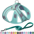AIITLE Easy Walk Dog Harness and Leash Set by AIITLE-FORPETSBETTERLIFE