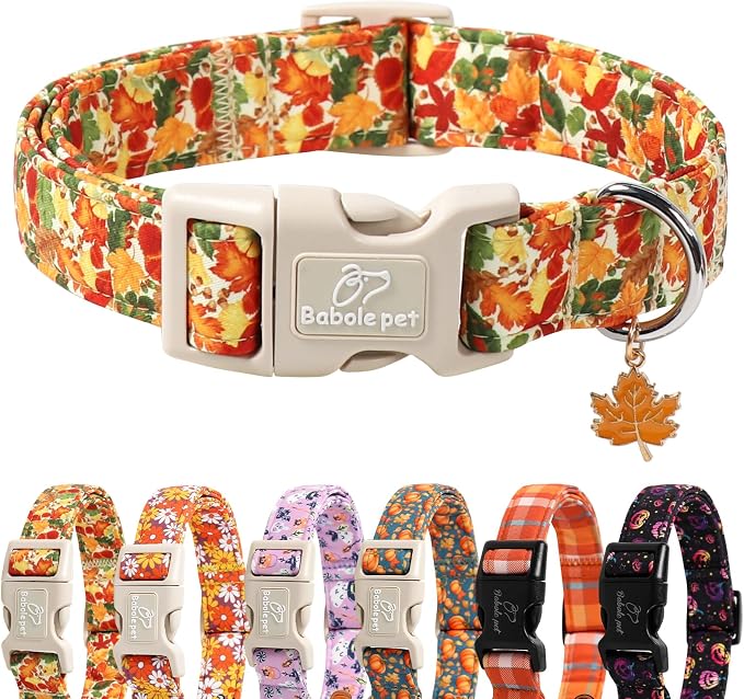 Fall Dog Collar Cute Autumn Leaves Puppy Collar by Babolepet