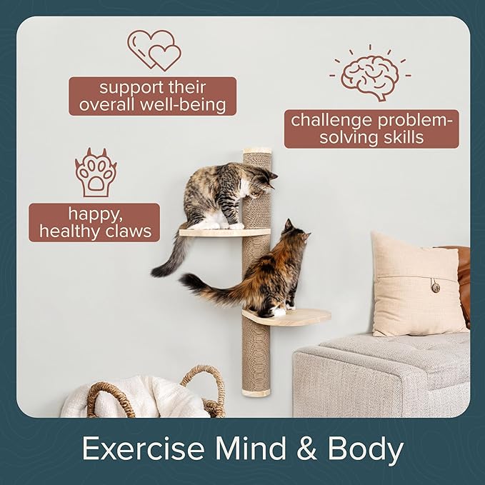 Cat Climbing Wall System – Modern Floating Shelves & Perches - Image 6