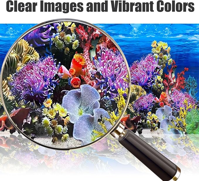 Fish Backgrounds Paper Double Sides Undersea Aquarium Background Poster - Image 3