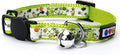 Pawtitas Glow in The Dark Cat Collar by Pawtitas