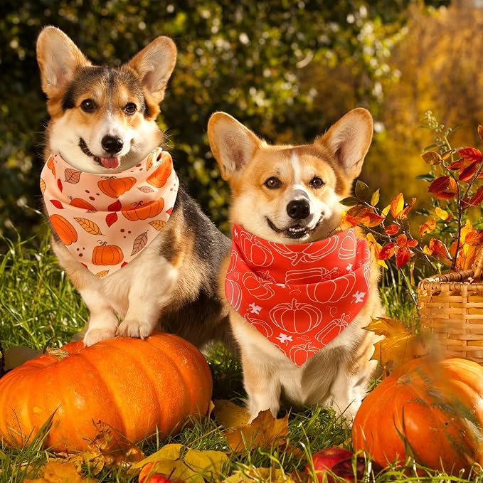 Abbylike 50 Pcs Fall Thanksgiving Dog Bandana Bulk Pumpkin Bandana - Image 2