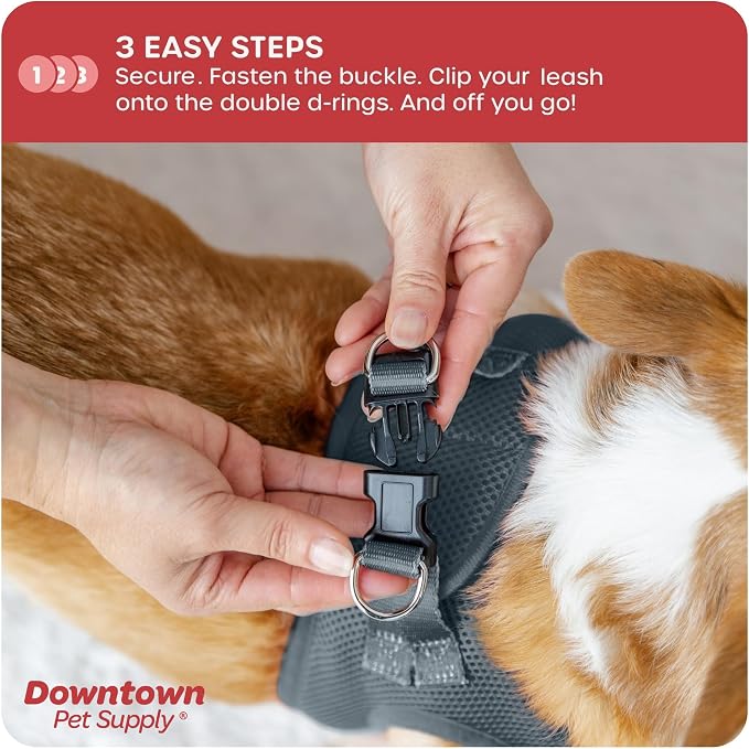 Downtown Pet Supply Step in Dog Harness - Image 5