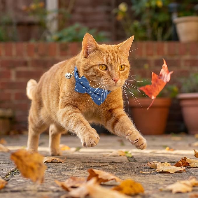 THAIN Cat Collar Breakaway - Image 6