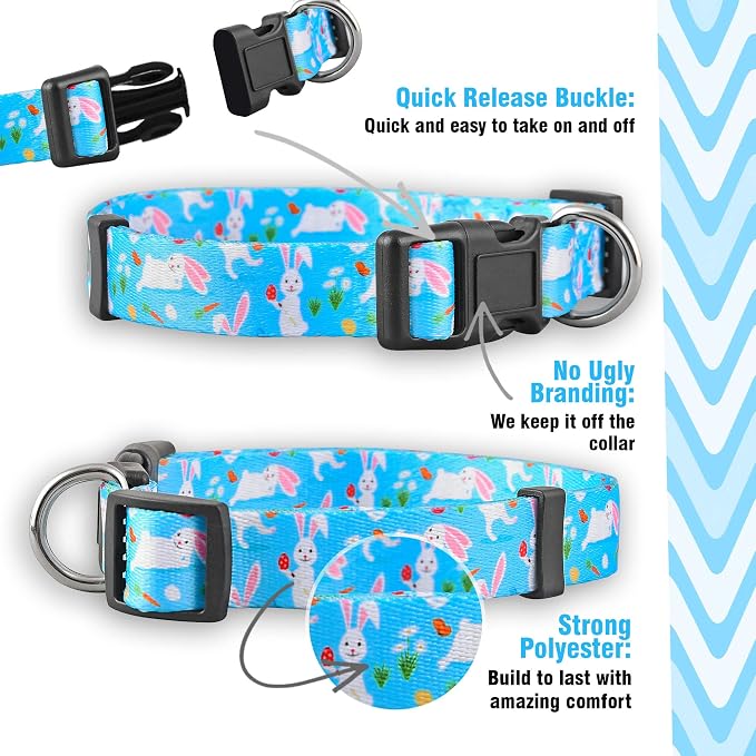 Native Pup Easter Dog Collar, Cute Spring Gift - Image 4