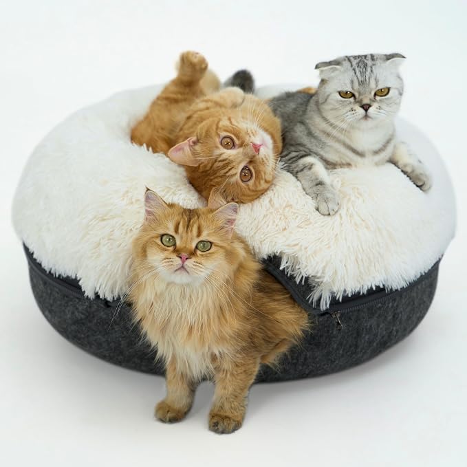 CATTASAURUS Peekaboo Cat Cave for Multiple & Large Cats Up to 30-45 Lbs by Cattasaurus