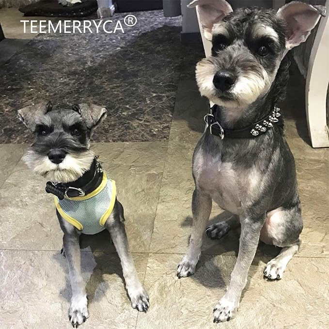 TEEMERRYCA Adjustable Microfiber Leather Spiked Studded Dog Collars - Image 6