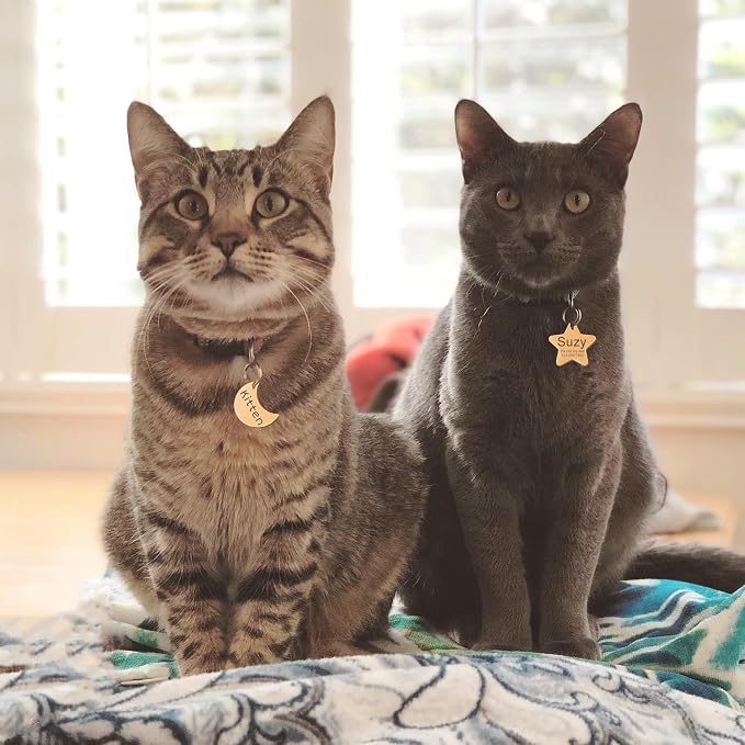 Anavia Personalized Pet ID Tags, Stainless Steel Glossy Laser Engraved Dog Cat - Image 5