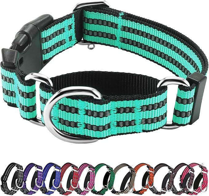 Hikiko Martingale Dog Collars Reflective Nylon Dog Collar by Hikiko