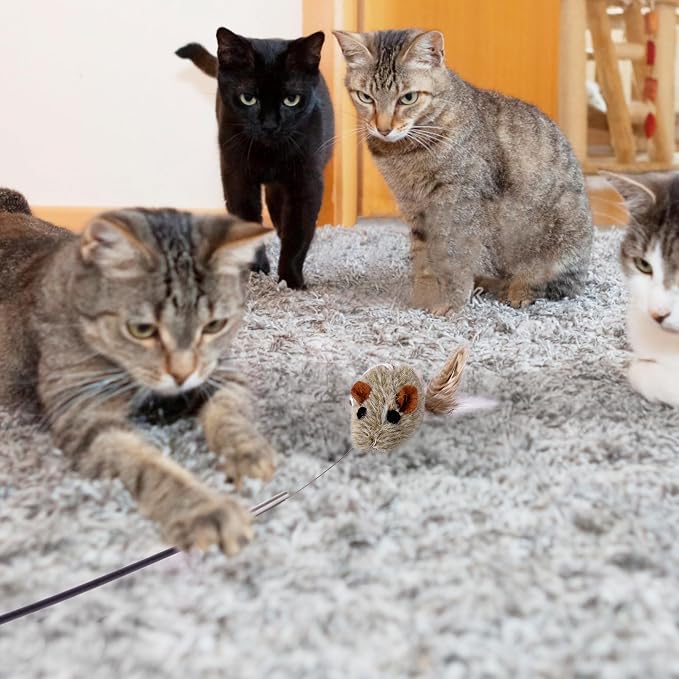 JXFUKAL Cat Feather Toy Refills - Image 6