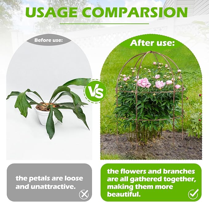 NNG 26 Inch Bird Cage Plant Support, Metal Grow Through Flower Trellis Cage - Image 5