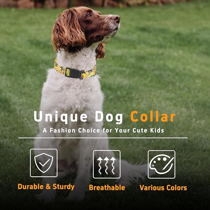 Puppy Collar for Small, Large Dogs - Image 5