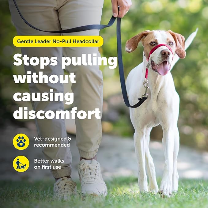 PetSafe Gentle Leader Headcollar No-Pull Dog Collar - Image 2