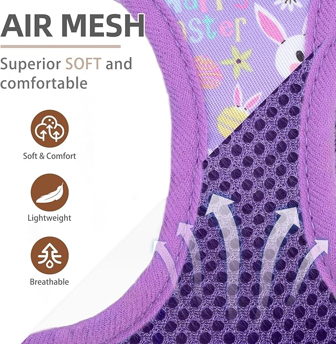 PUPTECK Adjustable Dog Harness Collar and Leash Set Step in No Pull Pet Harness - Image 2
